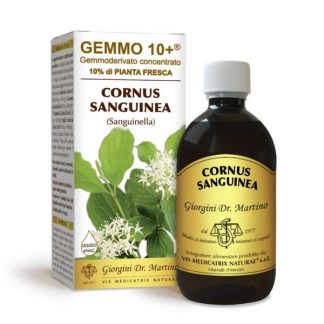 Gemmo 10+ sanguinella (Cornus sanguinea) gemmoderivato 500ml dr.Giorgini