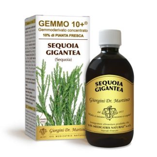 Gemmo 10+ Sequoia gigantea gemmoderivato 500ml dr.Giorgini