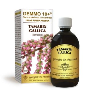 Gemmo 10+ Tamerice gemmoderivato di Tamarix gallica 500ml dr.Giorgini