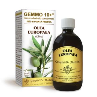 Gemmo 10+ Olivo (Olea Europaea) gemmoderivato 500ml – dr.Giorgini