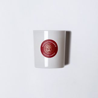 CANDELA PROFUMATA VANIGLIA PICCANTE 155gr