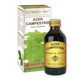Gemmo 10+ Acero campestre (Acer campestris) gemmoderivato analcolico 100ml dr.Giorgini