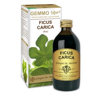 Gemmo 10+ Fico (Ficus carica) gemmoderivato analcolico 200ml dr.Giorgini