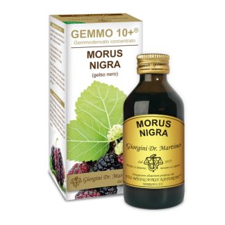 Gemmo 10+ Gelso nero (Morus nigra) gemmoderivato 100ml – dr.Giorgini