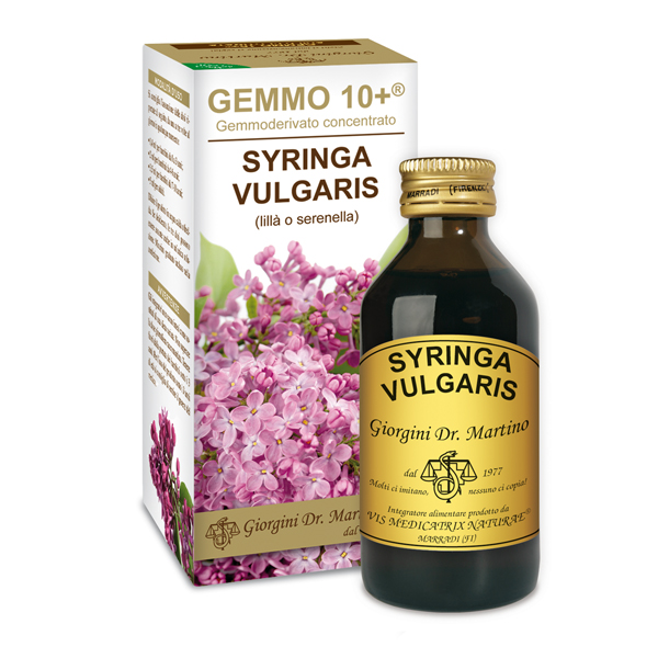 Gemmo 10+ Lillà o serenella (Syringa vulgaris) gemmoderivato 100ml – dr.Giorgini