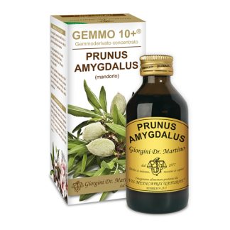 Gemmo 10+ Mandorlo (Prunus amygdalus, sinonimo Prunus dulcis) gemmoderivato 100ml dr.Giorgini