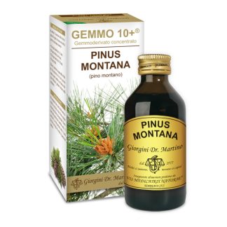 Gemmo 10+ Pino montano (Pinus montana) gemmoderivato 100ml dr.Giorgini