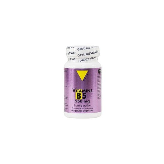 Vit'All+ Vit B5 550Mg 60caps