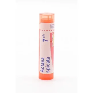 Boiron Actaea Spicata 7CH Tube Granules