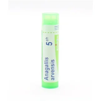 Boiron Anagallis Arvensis 5CH tube granules