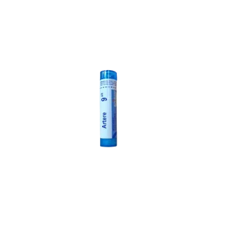 Boiron Artère 9CH tube granules
