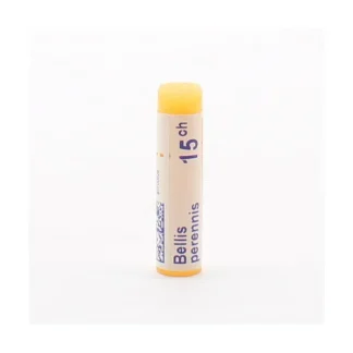 Boiron Bellis Perennis 15ch tube unidose