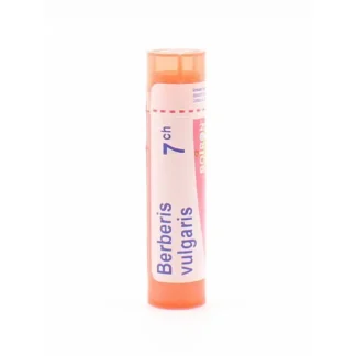 Boiron Berberis Vulgaris 7CH tube granules