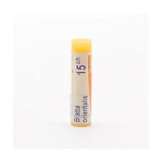 Boiron Blatta Orientalis 15CH tube unidose