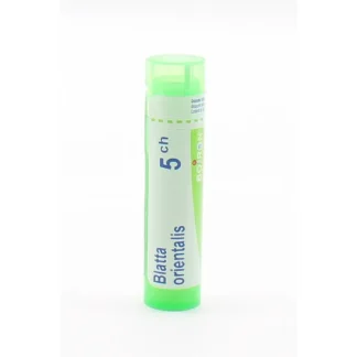 Boiron Blatta Orientalis 5CH Tube Granules