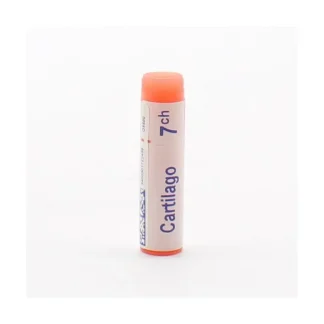 Boiron Cartilago 7ch tube unidose