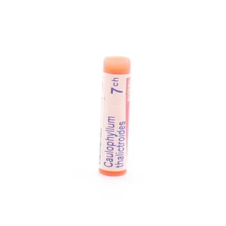 Boiron Caulophyllum Thalictroides 7ch tube unidose