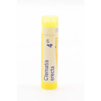 Boiron Clematis Erecta 4ch tube granules