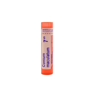 Boiron Conium Maculatum 7ch tube granules
