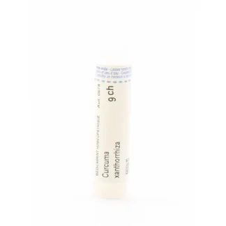Boiron Curcuma Xanthorrhiza 9CH Tube Granules