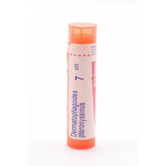 Boiron Dermatophagoides Pteronyssinus 7ch tube granules