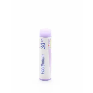 Boiron Eberthinum 30ch tube unidose