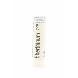 Boiron Eberthinum 7CH Tube Granules