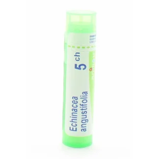Boiron Echinacea Angustifolia 5ch tube granules