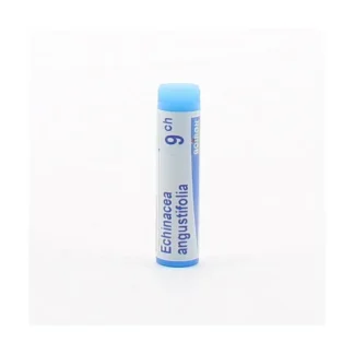 Boiron Echinacea Angustifolia 9ch tube unidose