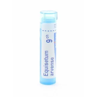 Boiron Equisetum Arvense 9CH Tube Granules