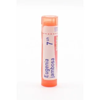 Boiron Eugenia Jambosa 7ch tube granules
