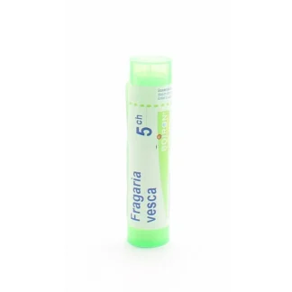 Boiron Fragaria Vesca 5ch tube granules