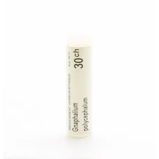 Boiron Gnaphalium Polycephalum 30CH tube unidose