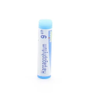 Boiron Harpagophytum 9ch tube unidose