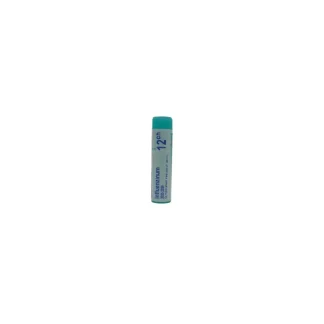 Boiron Influenzinum 12ch 2025-2026 tube unidose