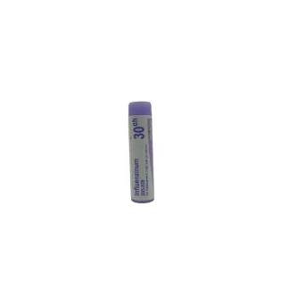 Boiron Influenzinum 30ch 2025-2026 tube unidose