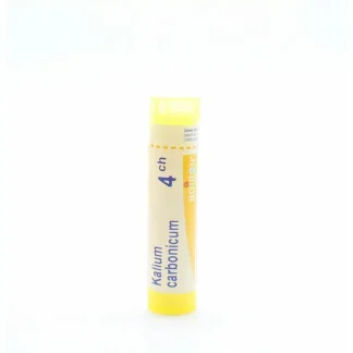 Boiron Kalium Carbonicum 4ch tube granules