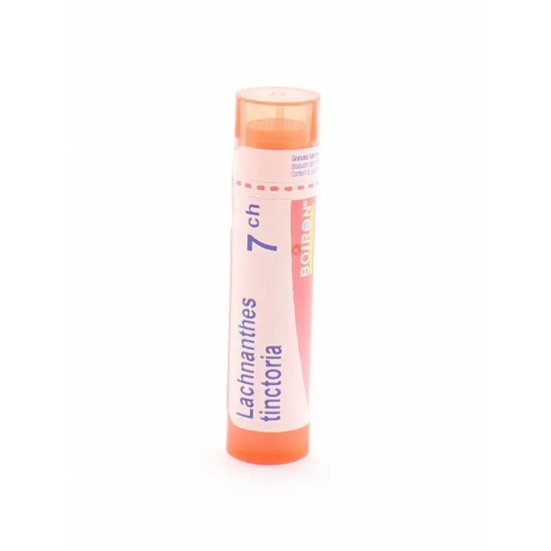Boiron Lachnanthes Tinctoria 7ch tube granules