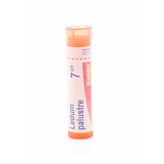Boiron Ledum Palustre 7CH Tube Granules