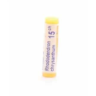 Boiron Rhododendron Chrysantum 15CH tube unidose