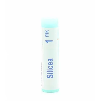 Boiron Silicea 1mk Tube Unidose