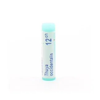 Boiron Thuya Occidentalis 12ch tube unidose