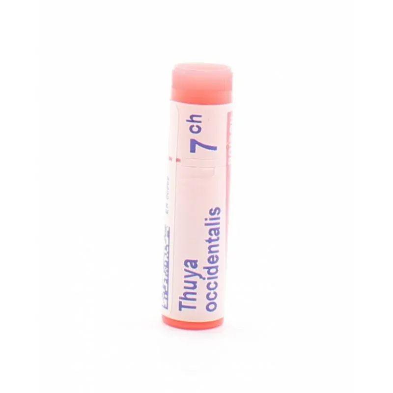 Boiron Thuya Occidentalis 7CH tube unidose
