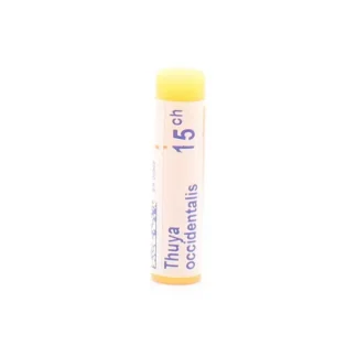 Boiron Thuya Occidentalis 15CH Tube Unidose