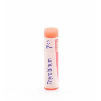 Boiron Thyroidinum 7ch unidose
