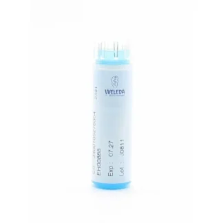 Weleda Nux Vomica D6 tube granules