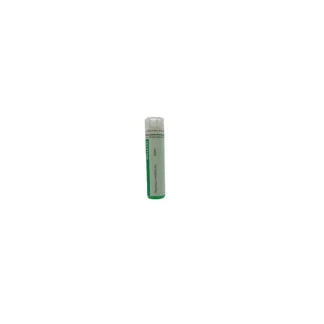 Weleda Plumbum Metallicum 10DH tube granules