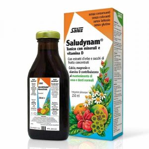 Salus Saludynam Food Supplement 250ml