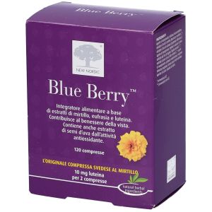 Blue Berry Supplement Visual Function 120 Tablets