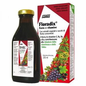 Floradix Herbal Sap Rich In Iron 250ml